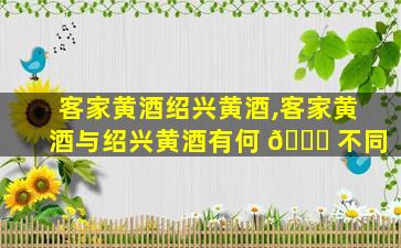 客家黄酒绍兴黄酒,客家黄酒与绍兴黄酒有何 🐋 不同